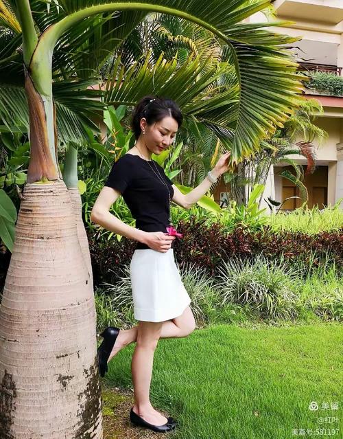 窈窕淑女