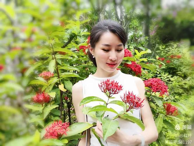 窈窕淑女