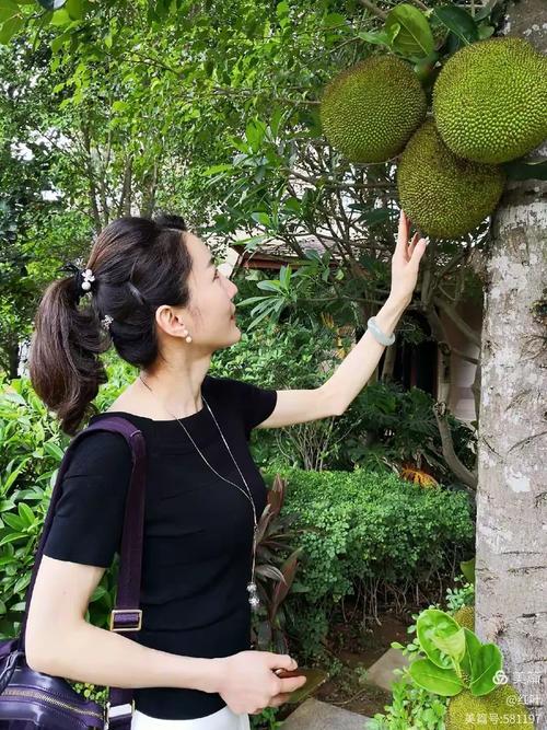 窈窕淑女